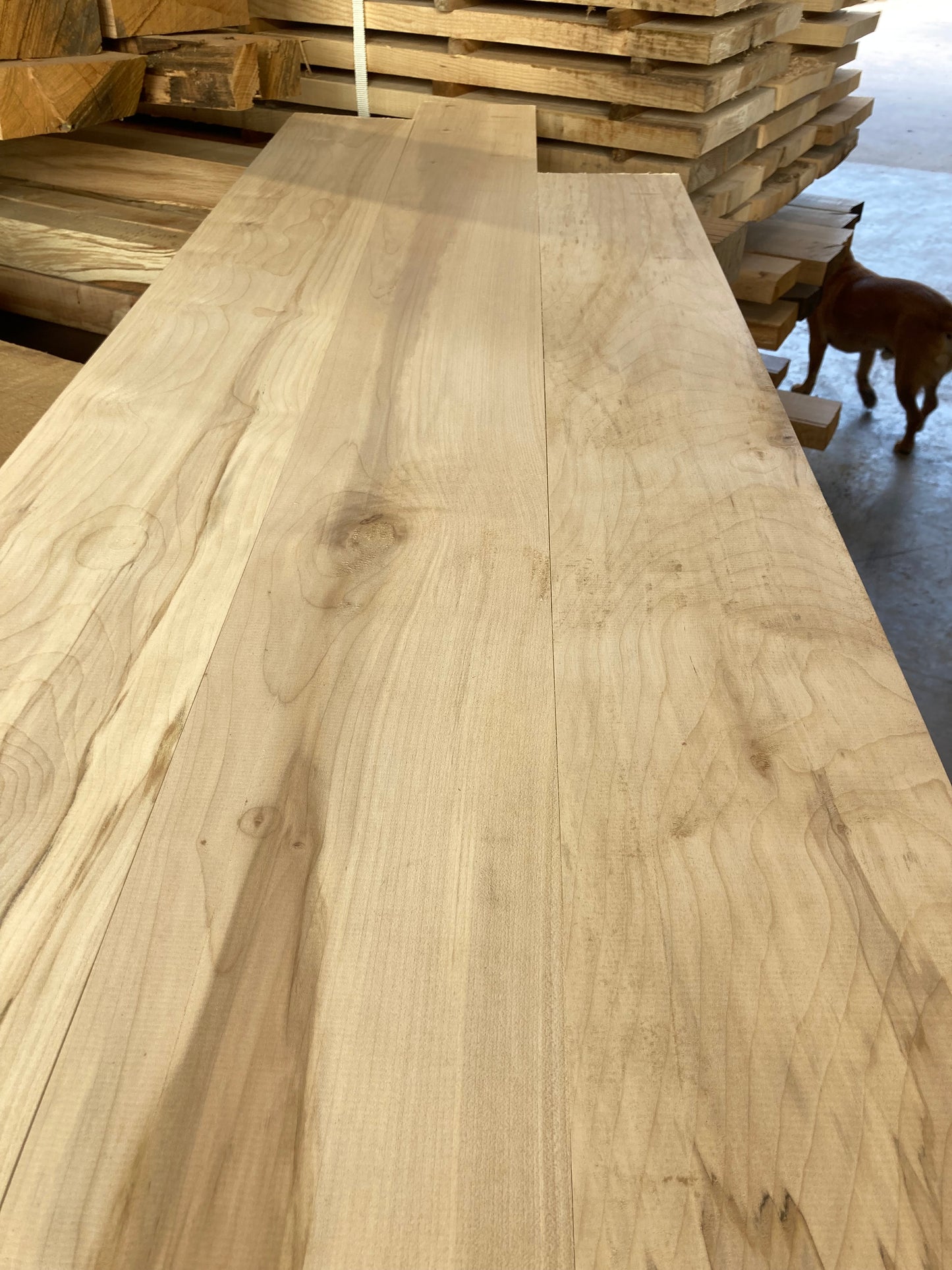 Sycamore Flooring
